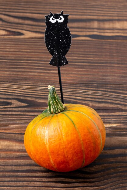 Photo pumpkin with owl for halloween