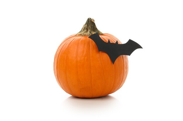 Pumpkin with paper bat isolated on white