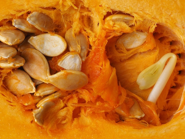 a pumpkin with seeds inside of it