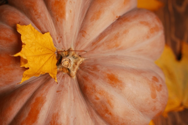 Photo pumpkin with yellow autumn leaves fallen from the trees fall background to use the concept of thanks...