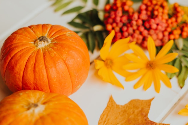 pumpkin with yellow and orange autumn flowers and rowan berries. 