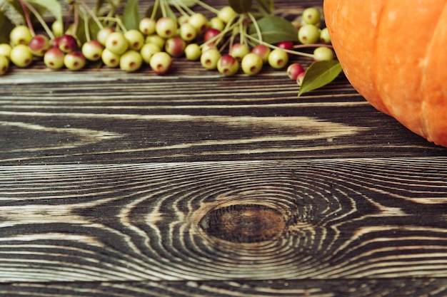 Pumpkin on Wooden Backdrop