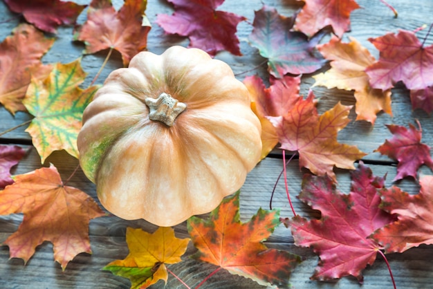 Pumpkin on the wooden surface