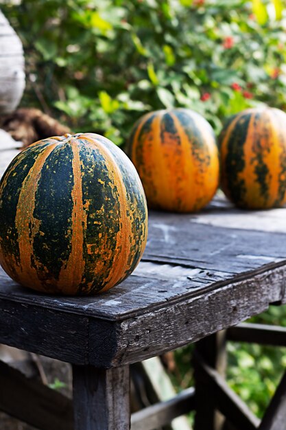 Pumpkin on wooden surface