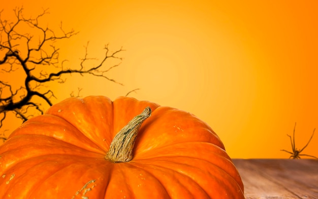 Pumpkin on wooden table and orange background Halloween concept