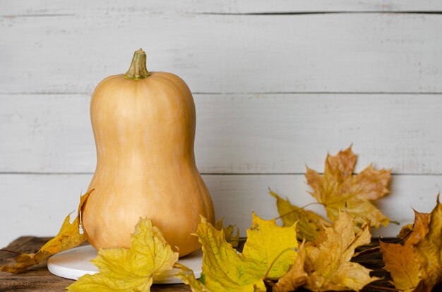 Pumpkin and yellow fallen leaves