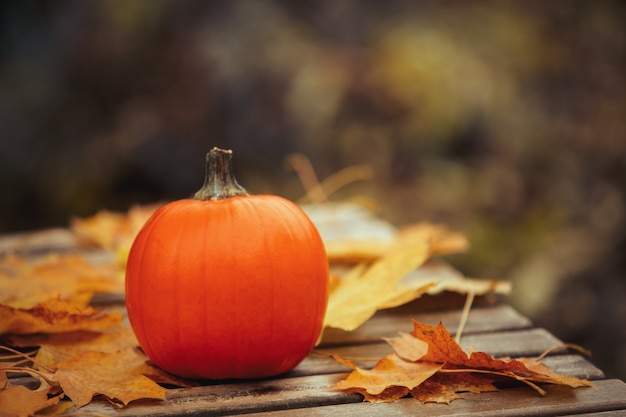 Pumpking en muple bladeren op een tafel in een tuin