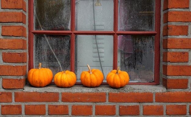 Pumpkins against brick wall