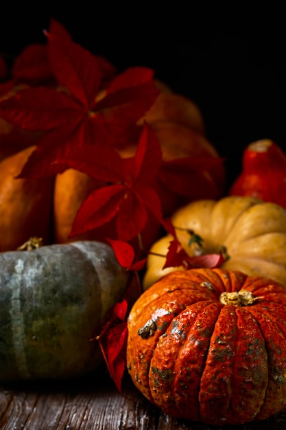 Pumpkins are laid out on an old table and decorated with willow leaves, a close-up of autumn vegetables