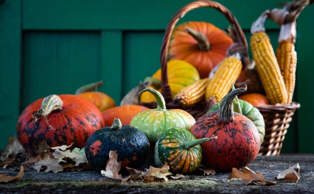 Pumpkins in autumn Thanksgiving card
