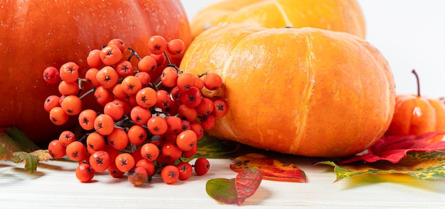 Pumpkins berries and fallen leaves on wooden background