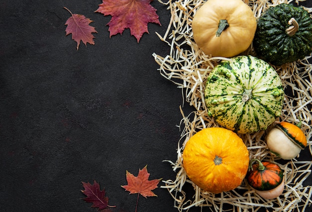 Pumpkins on a black 