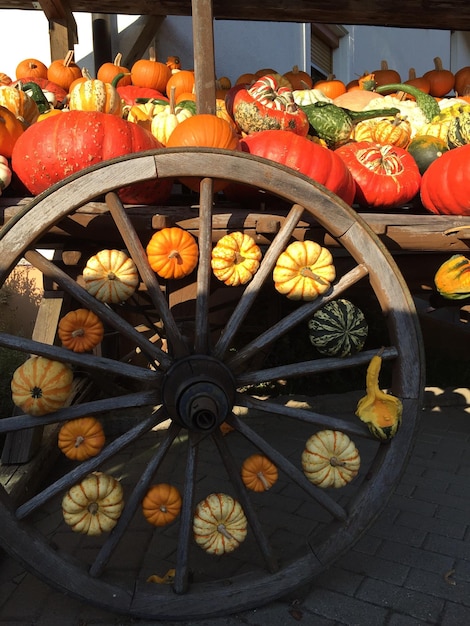 Photo pumpkins on cart during sunny day