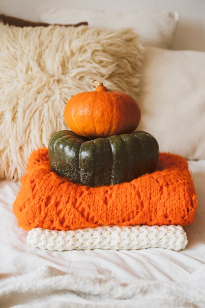 pumpkins on clothes on bed