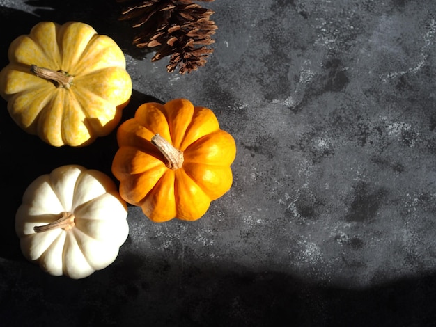 Pumpkins and dry pine flower top view on grey background