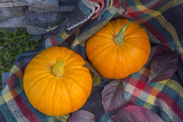 pumpkins and fall leaves on a plaid