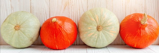 Pumpkins in front of wooden wall Rustic country style Natural organic vegetables food Autumn harvest Copy space