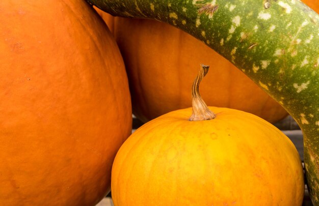 Pumpkins and gourd in stack