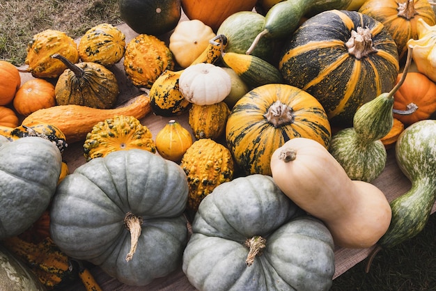 地上のカボチャハロウィーンの家の装飾ハロウィーンと家のための感謝祭の装飾