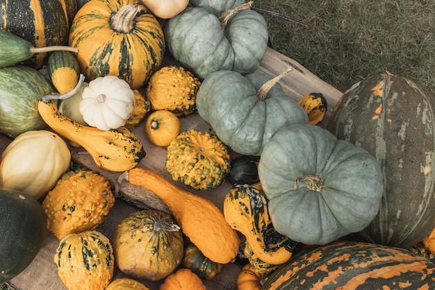 Pumpkins Halloween home decor on a ground