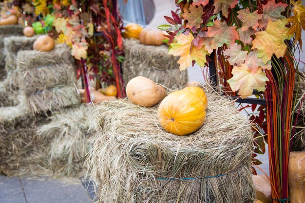 Pumpkins on a haystack Street alley decorated for autumn market with orange yellow red leaves