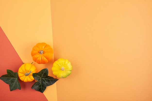 Pumpkins and leaves over pastel background, copy space