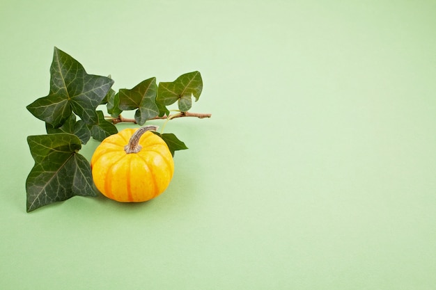 Pumpkins and leaves over pastel background