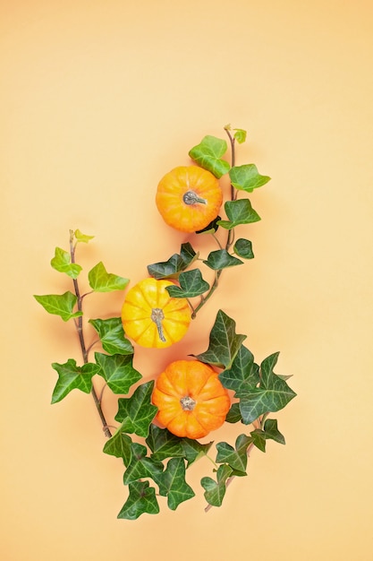 Pumpkins and leaves over pastel background