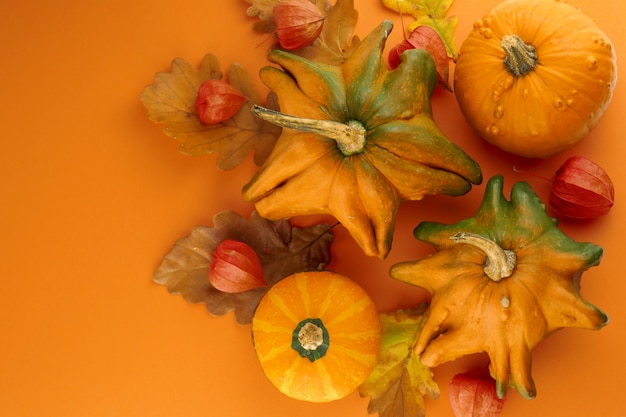 Pumpkins and leaves