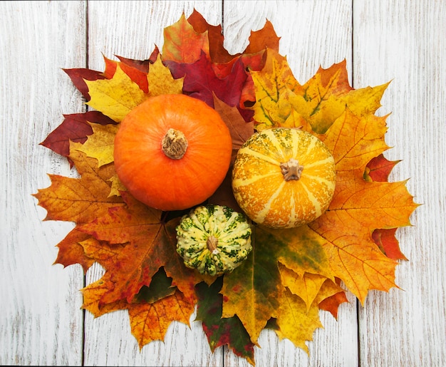 Pumpkins and leaves