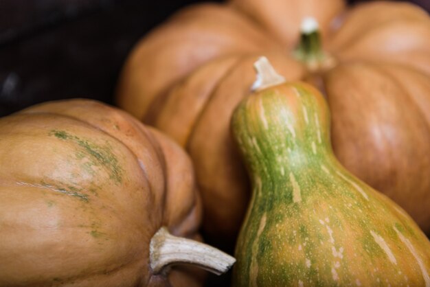 Photo pumpkins lying on a wooden table