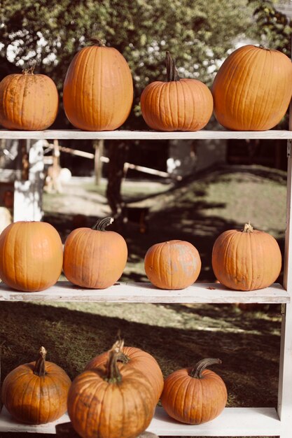 Photo pumpkins in market stand during autumn