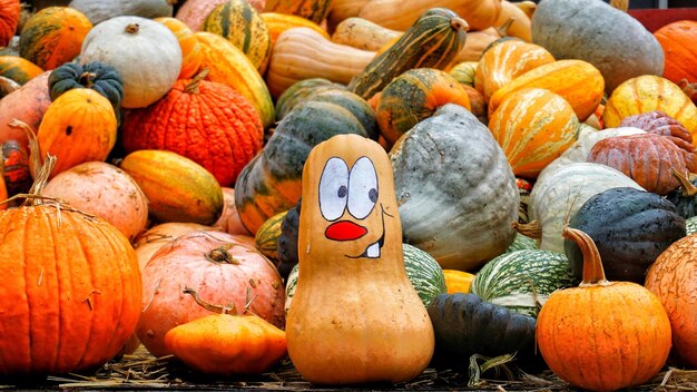 Pumpkins in market