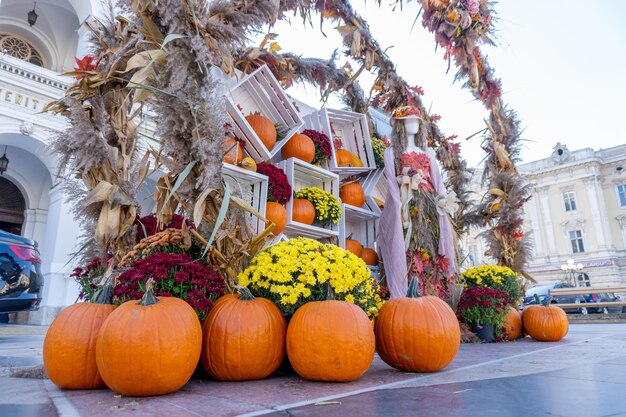 Pumpkins October Halloween Autumn Decoration and Flowers