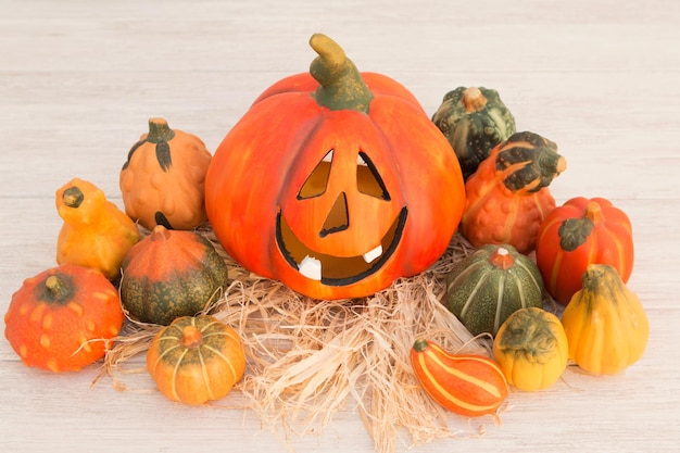 Pumpkins on orange pumpkin during autumn