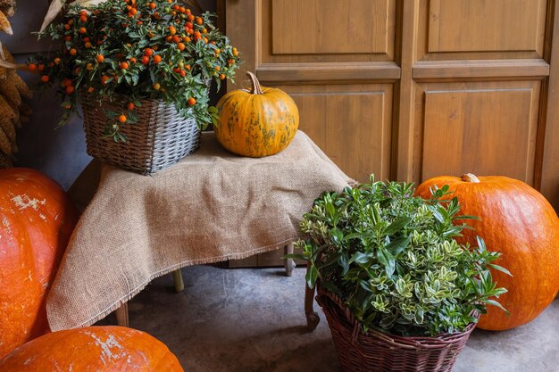 Pumpkins red berries and autumn flowers decoration in baskets on porch