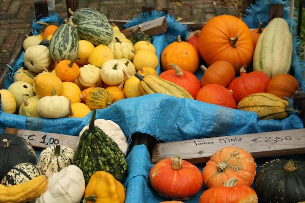 Photo pumpkins for sale at market stall