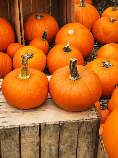 Pumpkins for sale at market