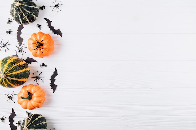  Pumpkins, spiders and bats on white wooden