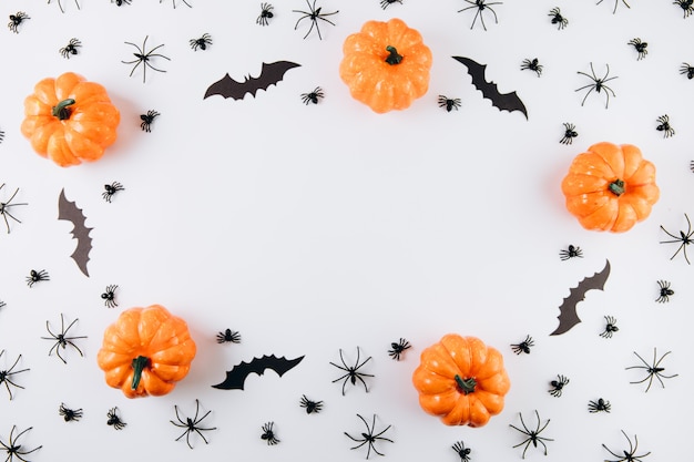 Photo pumpkins, spiders and bats on white