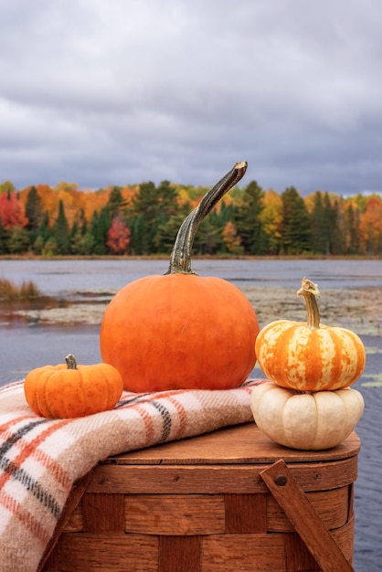 Pumpkins stacked on a picnic basket on a fall day