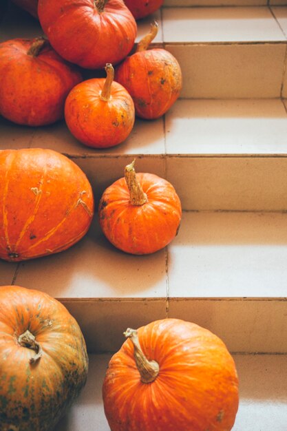 pumpkins on stairs halloween concept