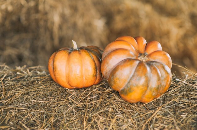 pumpkins  on straw