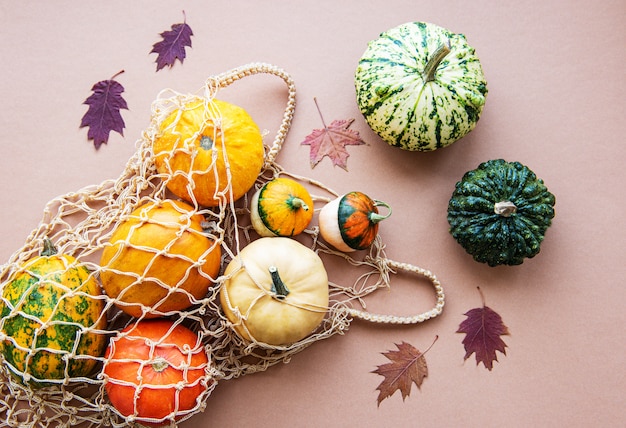 Pumpkins in a string bag