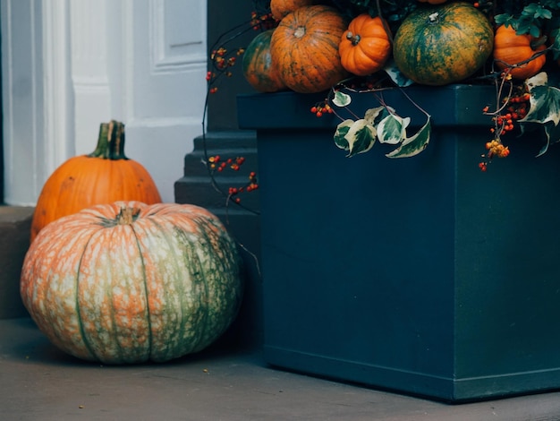 Photo pumpkins on table during halloween