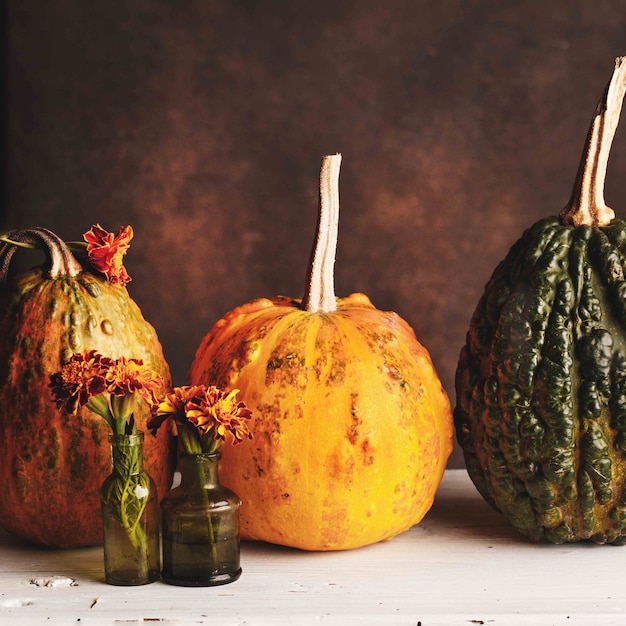 Zucche sul tavolo - decorazione di halloween o del ringraziamento