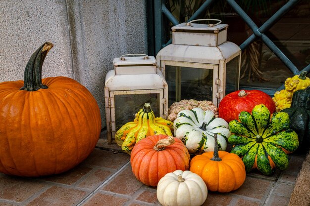 Photo pumpkins on table