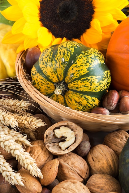 Pumpkins and various types of nuts