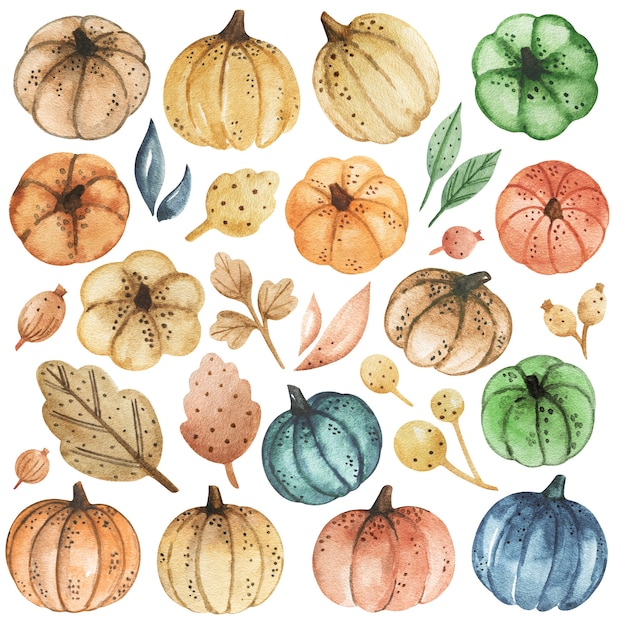 pumpkins watercolor drawing