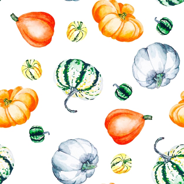 Pumpkins Watercolor pattern of bright pumpkins Illustration with vegetables